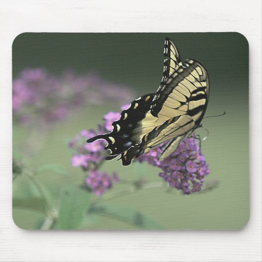 Stiller Flug Mousepad (Vorne)