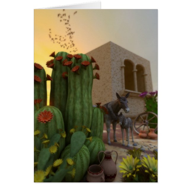 Stiller Siesta (Vorne)