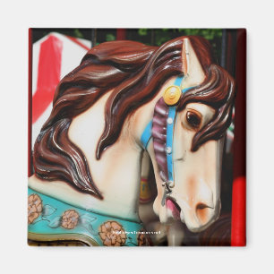 Stiller Steed-Karussell-Pferdephotographie-Magnet Magnet