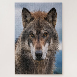 Stiller Wächter – Ein kraftvolles Porträt des Wolf Puzzle