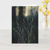 Stiller Wald, Mitgefühl Karte (Gelbe Blume)
