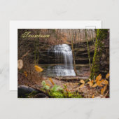 Stillhouse Falls Postcard Postkarte (Vorne/Hinten)