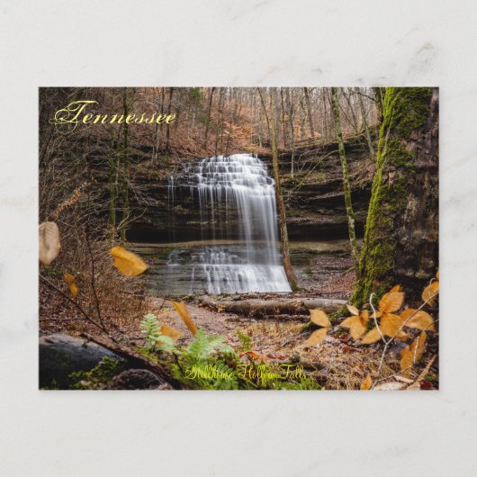 Stillhouse Falls Postcard Postkarte (Vorderseite)