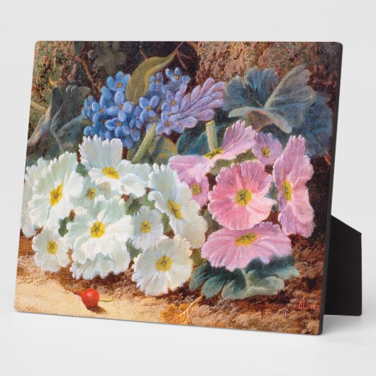 Stillleben der Blume Oliver Clare 1853 - 1927 Fotoplatte (Seite)