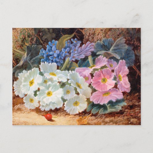 Stillleben der Blume Oliver Clare 1853 - 1927 Postkarte (Vorderseite)