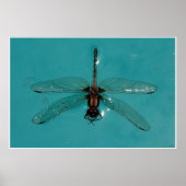 Stillleben der Libelle 1 Poster (Vorne)