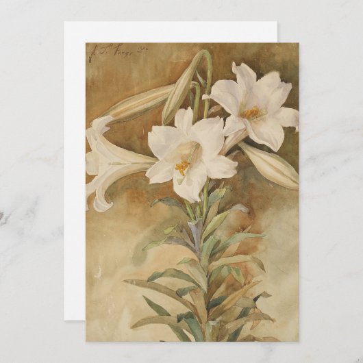 Stillleben der Osterlilien | John La Farge (Vorne/Hinten)