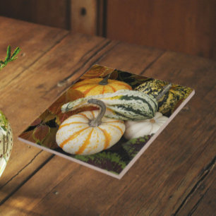 Stillleben-Foto mit Kürbissen und Squash Fliese