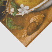Stillleben mit Bowl of Citronen und Fly Garzoni Seidenpapier (Detail)