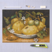 Stillleben mit Bowl of Citronen und Fly Garzoni Seidenpapier (Handwerk)