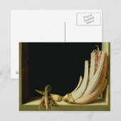 Stillleben mit Cardoon Postkarte (Vorne/Hinten)