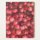 Stillleben mit Cranberries Planer (Rückseite)