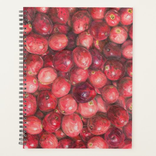 Stillleben mit Cranberries Planer (Vorderseite)