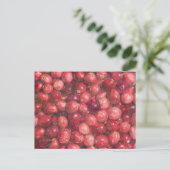 Stillleben mit Cranberries Postkarte (Stehend Vorderseite)