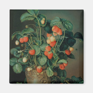 Stillleben mit Erdbeeren Magnet