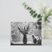 Stillleben mit Katze Postkarte (Stehend Vorderseite)