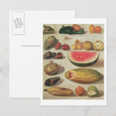 Stillleben mit Obst und Toad Postkarte (Vorne/Hinten)