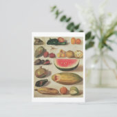 Stillleben mit Obst und Toad Postkarte (Stehend Vorderseite)
