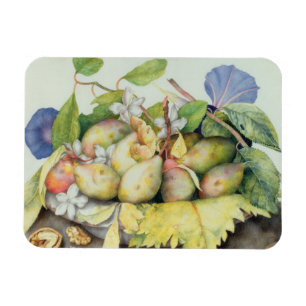 Stillleben mit Pflaumen, Walnüssen und Jasmin (w/ Magnet