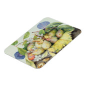 Stillleben mit Pflaumen, Walnüssen und Jasmine (w/ Magnet (Linke Seite)