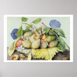 Stillleben mit Pflaumen, Walnüssen und Jasmine (w/ Poster
