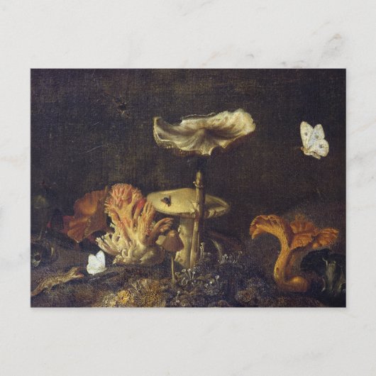 Stillleben mit Pilzen und Schmetterlingen Postkarte (Vorderseite)