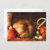 Stillleben mit Pumpkins Postkarte (Vorne/Hinten)