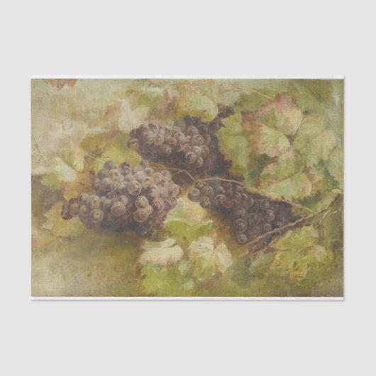 Stillleben mit Trauben von Giovanni Segantini Seidenpapier (Vorderseite)