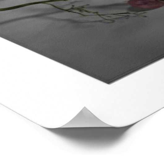 Stillleben Poster (Ecke)