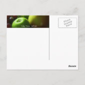 Stillleben Postkarte (Rückseite)