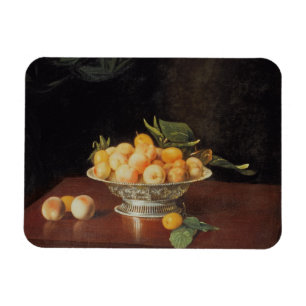 Stillleben T32176 der Pfirsiche, c.1700 Magnet