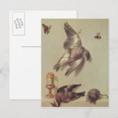 Stillleben toter Vögel und einer Maus, 1712 Postkarte (Vorne/Hinten)