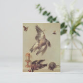 Stillleben toter Vögel und einer Maus, 1712 Postkarte (Stehend Vorderseite)