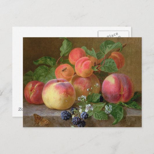 Stillleben von Pfirsichen Postkarte (Vorne/Hinten)