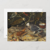 Stillleben von Vögeln und Insekten, 1637 Postkarte (Vorne/Hinten)