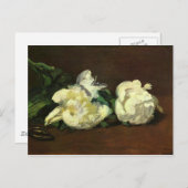Stillleben, weiße Pfingsten - Edouard Manet Postkarte (Vorne/Hinten)