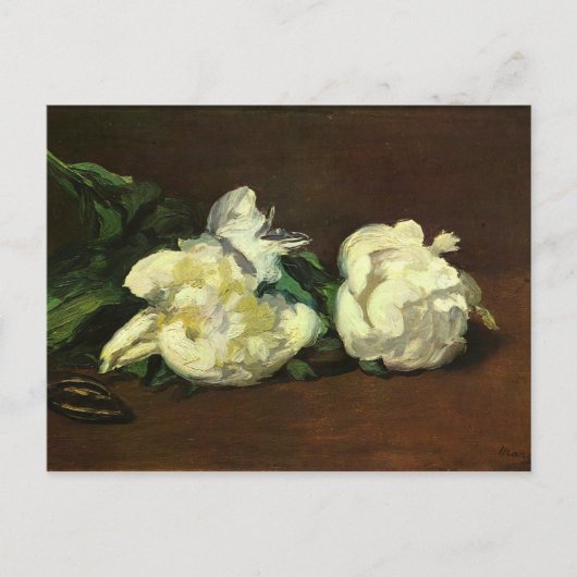 Stillleben, weiße Pfingsten - Edouard Manet Postkarte (Vorderseite)