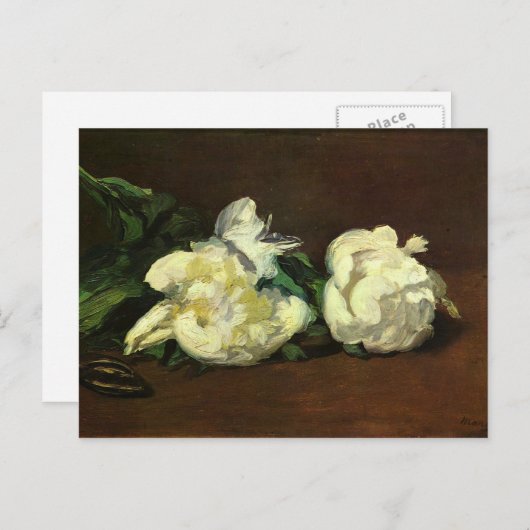 Stillleben, White Peony von Edouard Manet Postkarte (Vorne/Hinten)