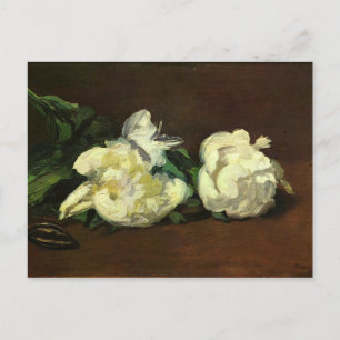 Stillleben, White Peony von Edouard Manet Postkarte