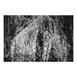 Stillleben Zuhause Fotodruck