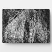 Stillleben Zuhause Fotoplatte (Vorderseite)