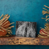 Stillleben Zuhause Fotoplatte (Seite)