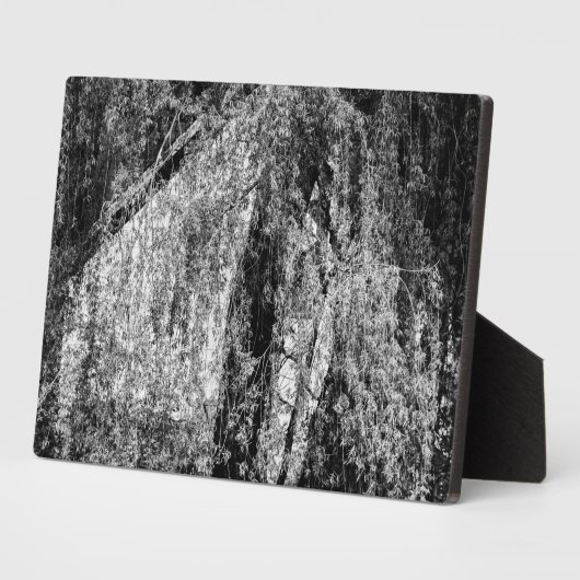 Stillleben Zuhause Fotoplatte (Seite)