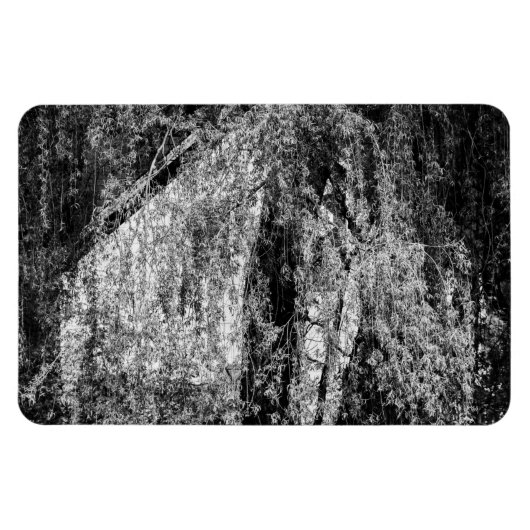 Stillleben Zuhause Magnet (Horizontal)