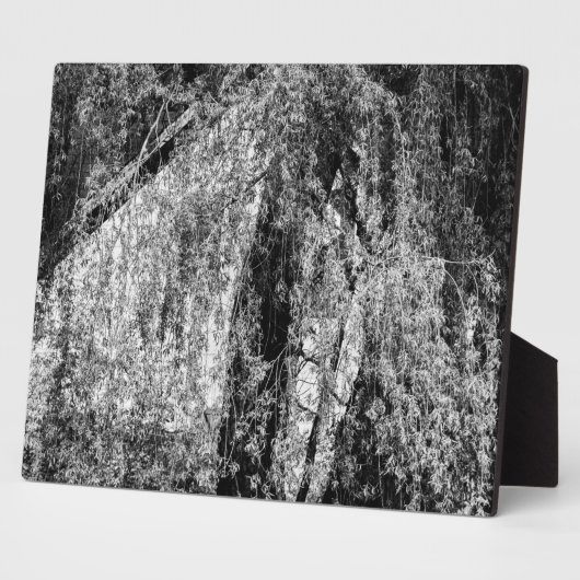 Stillleben Zuhause-Plakette Fotoplatte (Seite)