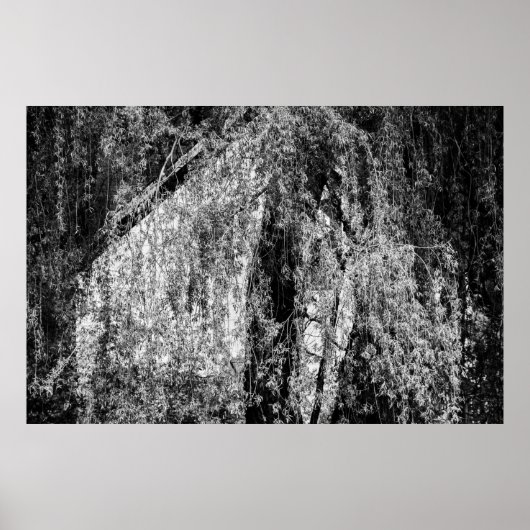 Stillleben Zuhause-Poster Poster (Vorne)