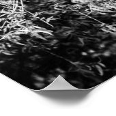 Stillleben Zuhause-Poster Poster (Ecke)