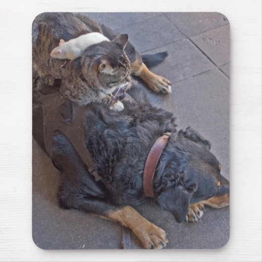 Stillstehen einfach mousepad (Vorne)