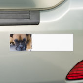 Stillstehende Boxer-HundeAutoaufkleber Autoaufkleber (Auf Auto)