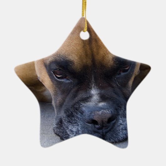 Stillstehende Boxer-Hundeverzierung Keramikornament (Hinten)